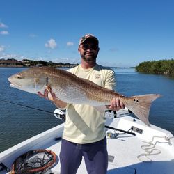 Redfish caught while fishing in Spring Hill
