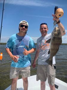 One big black drum fish caught while fishing in Spring Hill
