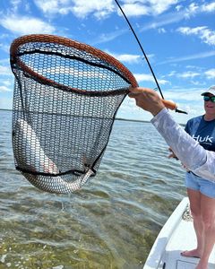 Fishing in FL
