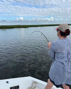 Fishing in FL