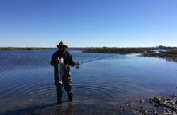 One person fishing at Spring Hill