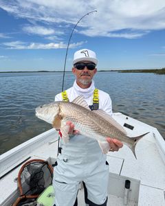 Angler catches a big fish while fishing in Spring Hill