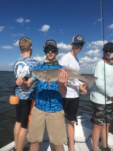 3 people fishing in Spring Hill