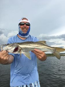 Angler with a large Snook fish catch in Spring Hill