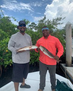 Two redfish being caught in FL