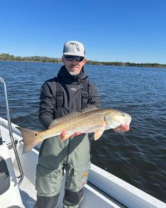 Redfish, 26 inches, caught fishing in FL