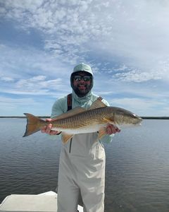 Redfish, 30-inch catch in Florida