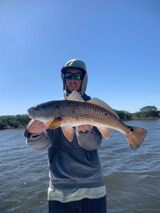 Redfish caught in FL