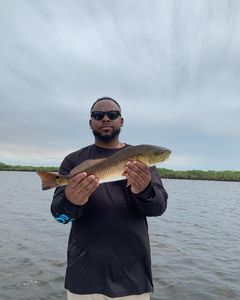 Redfish caught while fishing in FL