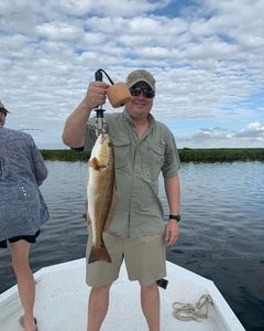 Redfish caught while fishing in FL