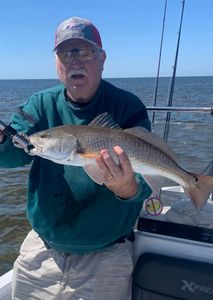 Redfish caught while fishing in FL