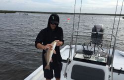 A redfish caught by an angler in Spring Hill
