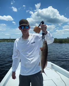 Redfish caught in Spring Hill