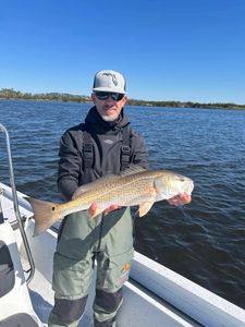 Redfish caught in Spring Hill