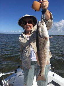 Redfish caught in Spring Hill