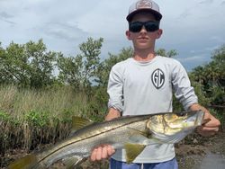 Snook fish caught in FL while fishing