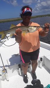 Snook fish caught fishing in FL