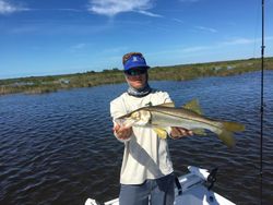 Snook fish caught during fishing trip in Spring Hill