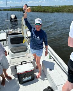 Snook fish caught while fishing in Spring Hill