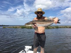 Angler with a large fish in Spring Hill