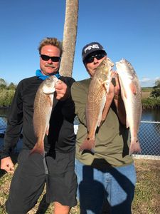Three big fish caught during a fishing trip in Spring Hill