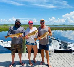 3 fishing rods in the water with 3 fish caught in FL