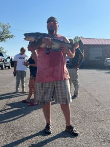 Fish-Species