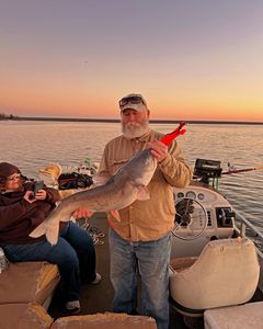 Catfish come slow, but they come