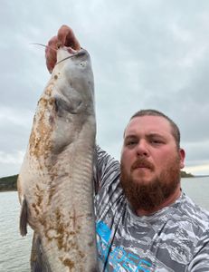 Fish-Species