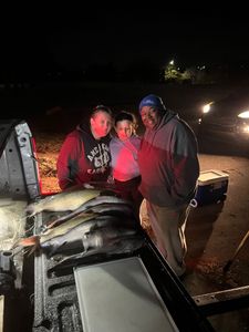 Catfish don’t talk, but they pull hard