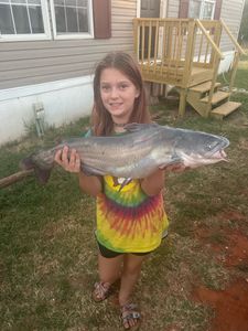 Fish-Species