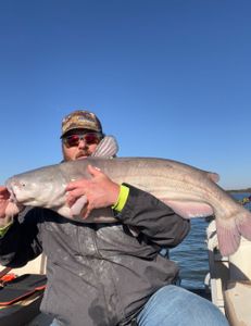 Still lake, solid pull