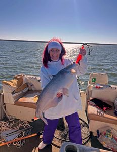 Pulled from the hush of deep water