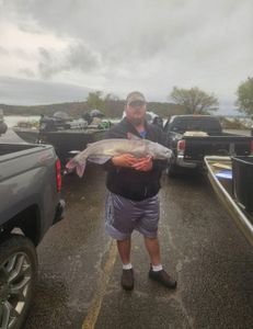 Fish-Species