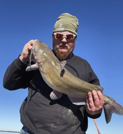 Photo of a Blue Catfish caught while fishing in OK