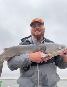 Blue Catfish caught in Norman