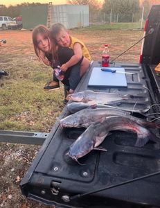 Two Blue Catfish, 27 inches, fishing in Norman