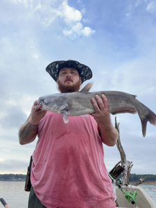 Catching a blue catfish in OK