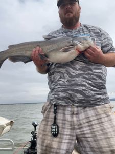 Not every bite shows up loud