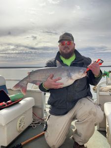 Channel catfish caught in Norman
