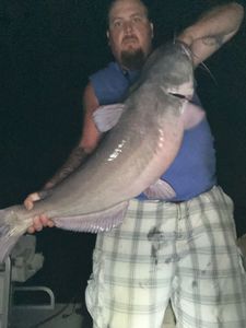 Channel catfish caught while fishing in Norman