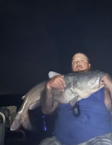 Fish-Species
