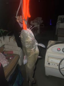 Muddy water hides the biggest surprises