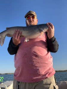 Oklahoma hands, steady and lake-trained