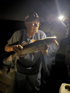Hidden in the still water caught at night