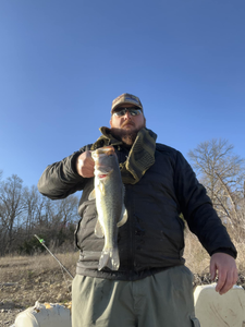 Largemouth Bass caught while fishing in Norman