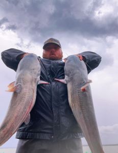A person fishing in OK with 2 big fish