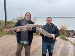 Two big blue catfish caught during a fishing trip in Norman