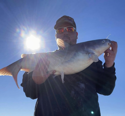 A large white catfish caught while fishing in OK