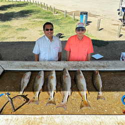 6 big redfish caught in Elmendorf